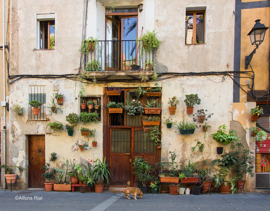 most beautiful places in Barcelona - la casa de las plantas 