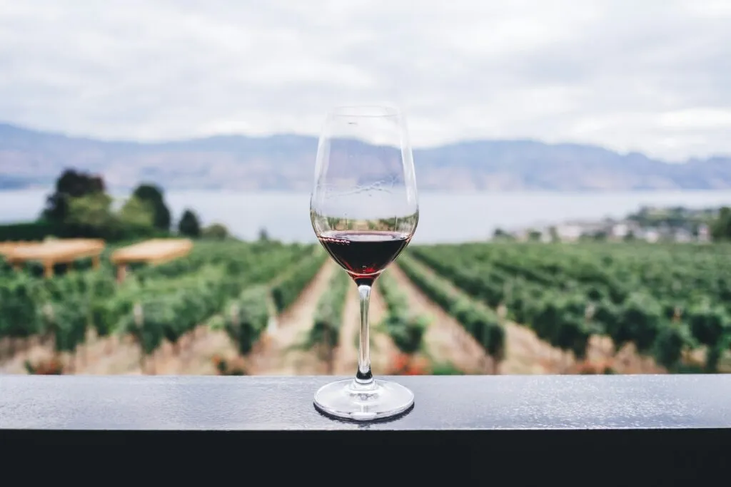 Exploring the Best Wineries Near Barcelona: The Perfect Day Trip Guide