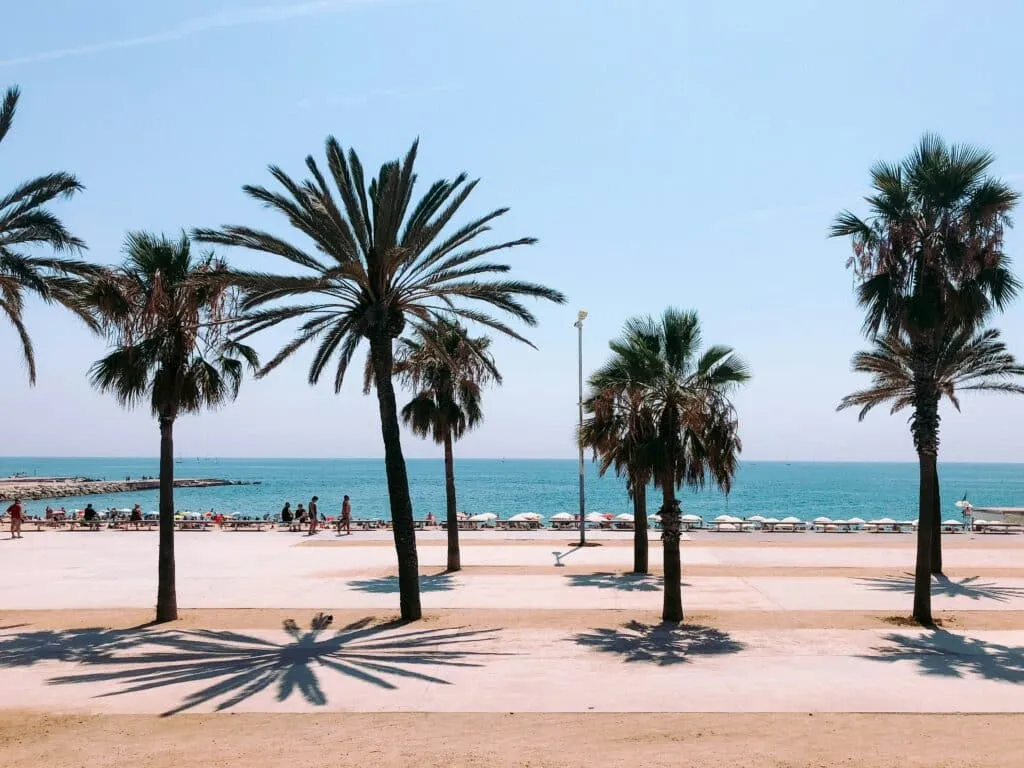 Discovering Barceloneta: Barcelona’s Coastal Gem