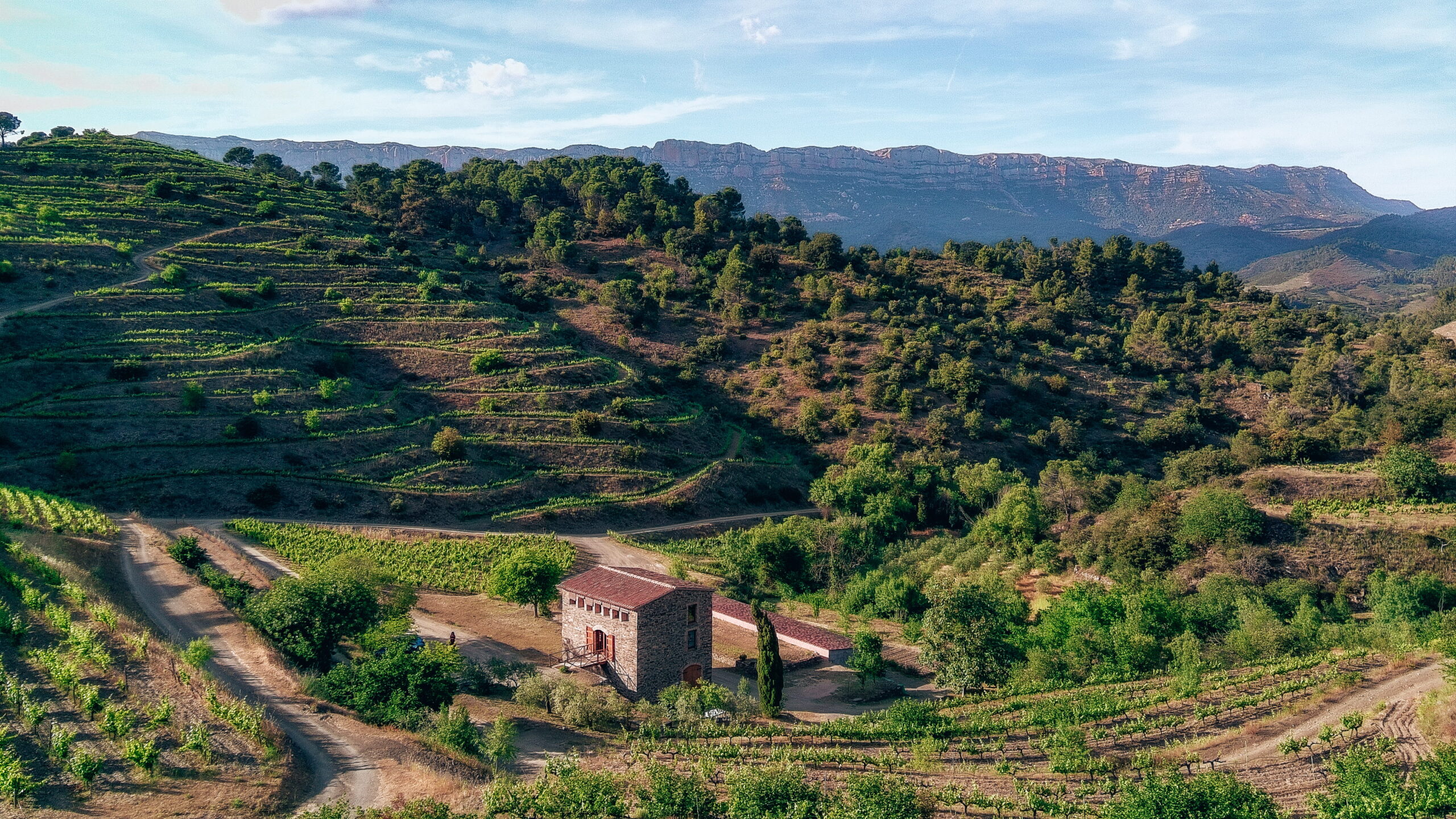 Terraced vineyards at Mas Sinén winery in the Priorat wine region